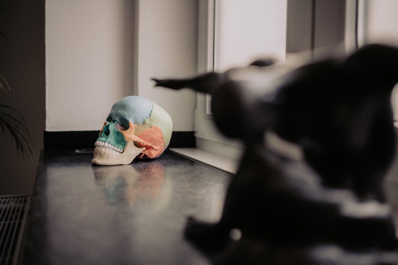 Bewegt-Phyisotherapie-Physiopraxis-Krankengymnastik-Geilenkirchen-Heinsberg-Aachen-Manuelletherapie-Simon-Jansen-bewegt-Osteopathie-16